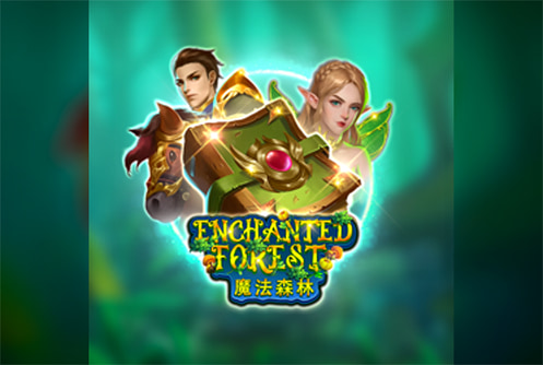 Enchanted Forest